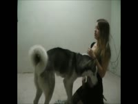 Sexy babe with big tits got banged in dog porno